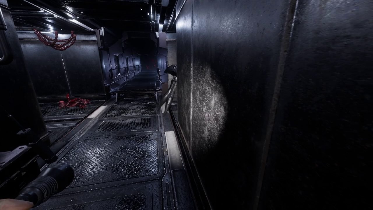 A researcher sweeping a flashlight down a corridor
